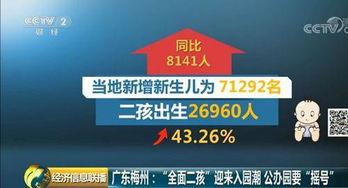 e贝幼儿园新闻爆料,揭秘幼儿园里的温馨瞬间与成长故事