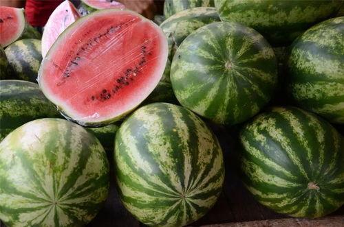 西安吃瓜群众免费吃瓜吗,免费瓜果盛宴,你来了吗? 第3张 西安吃瓜群众免费吃瓜吗,免费瓜果盛宴,你来了吗? 第3张